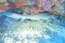 DSC00616.JPG