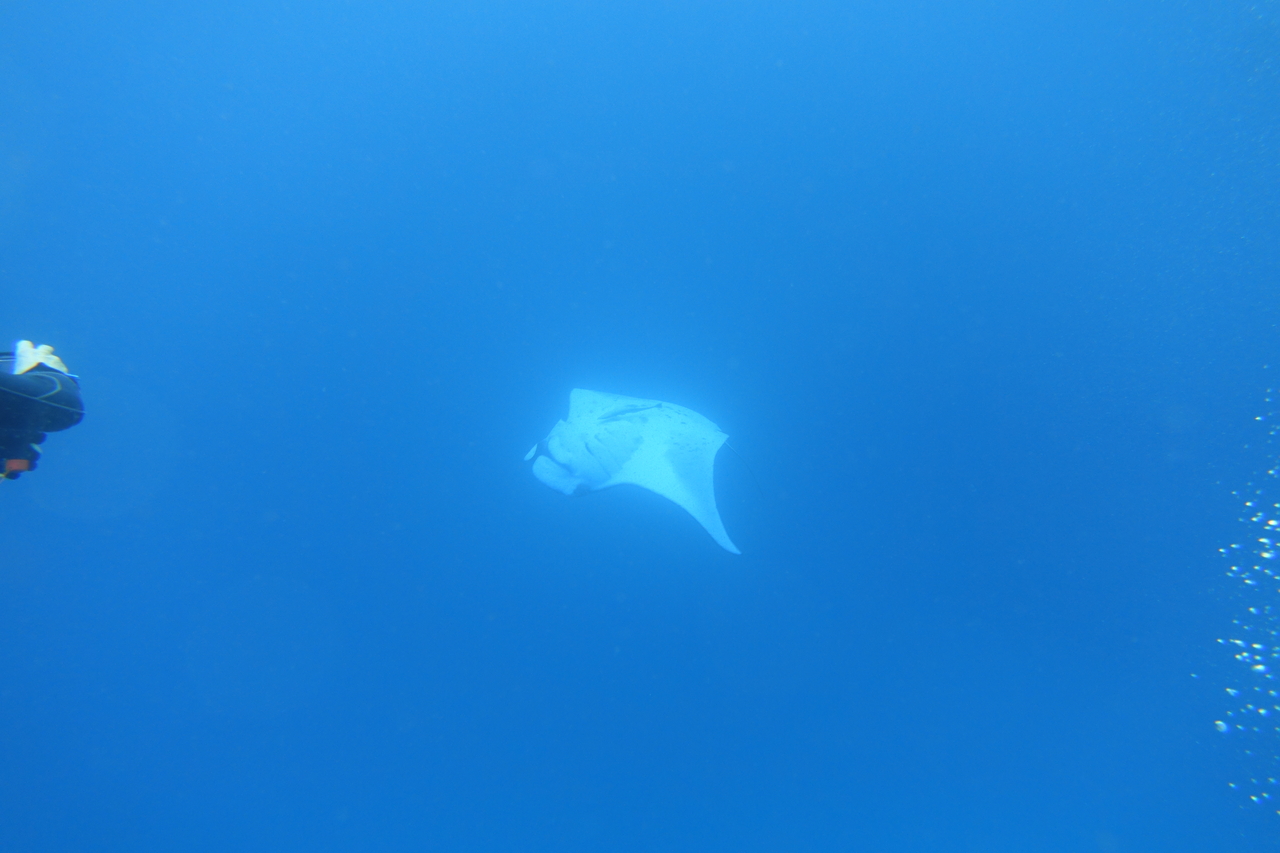 DSC00248.JPG