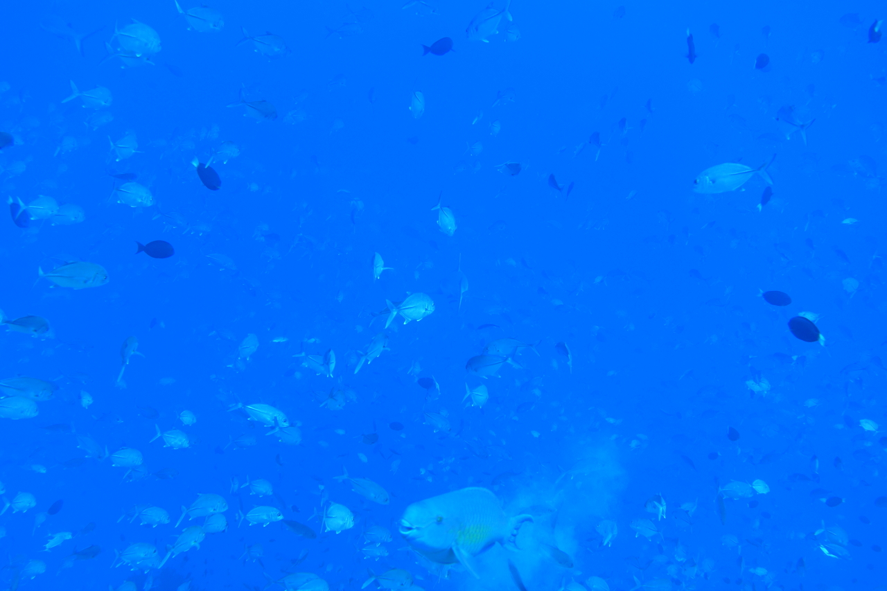 DSC00849.JPG