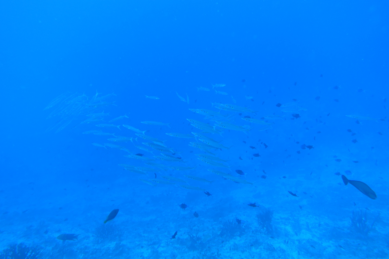 DSC00901.JPG