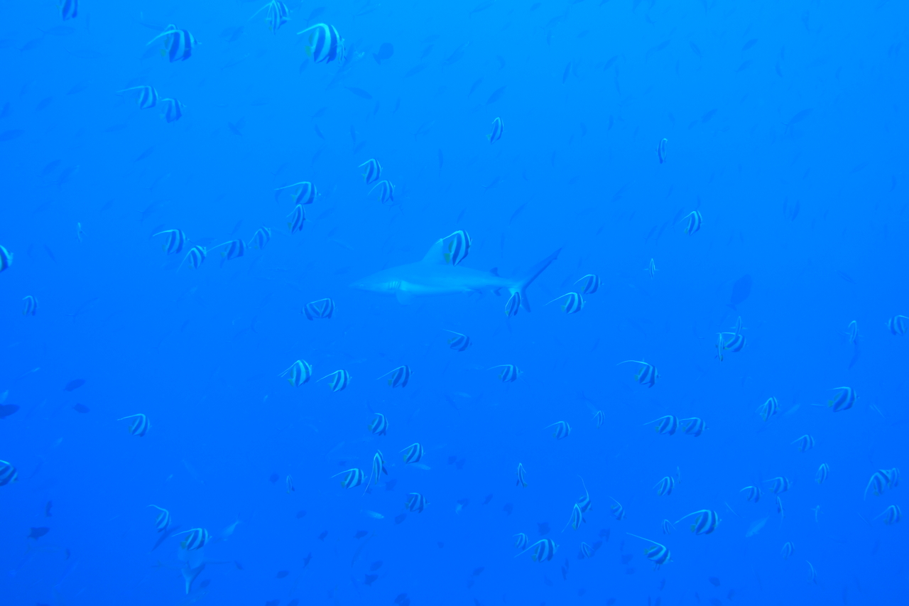 DSC00913.JPG