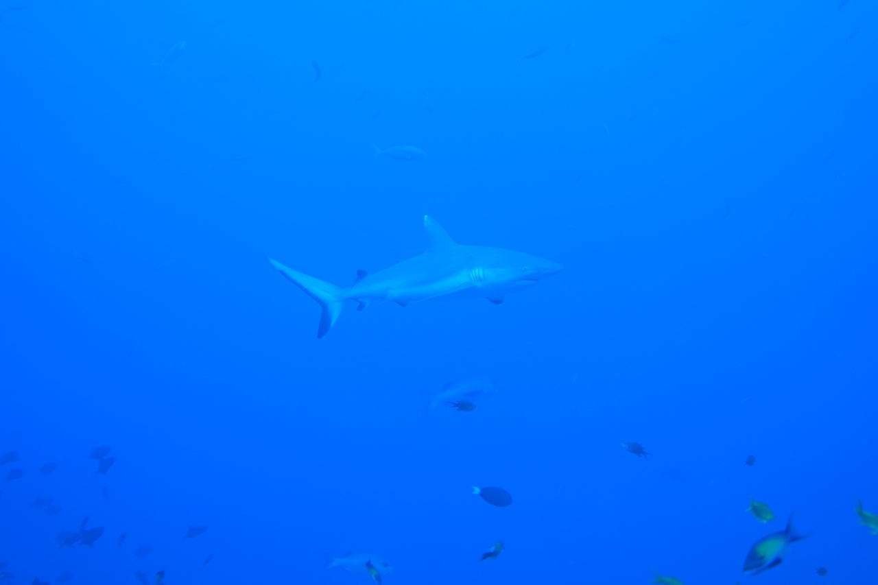 DSC00931.JPG