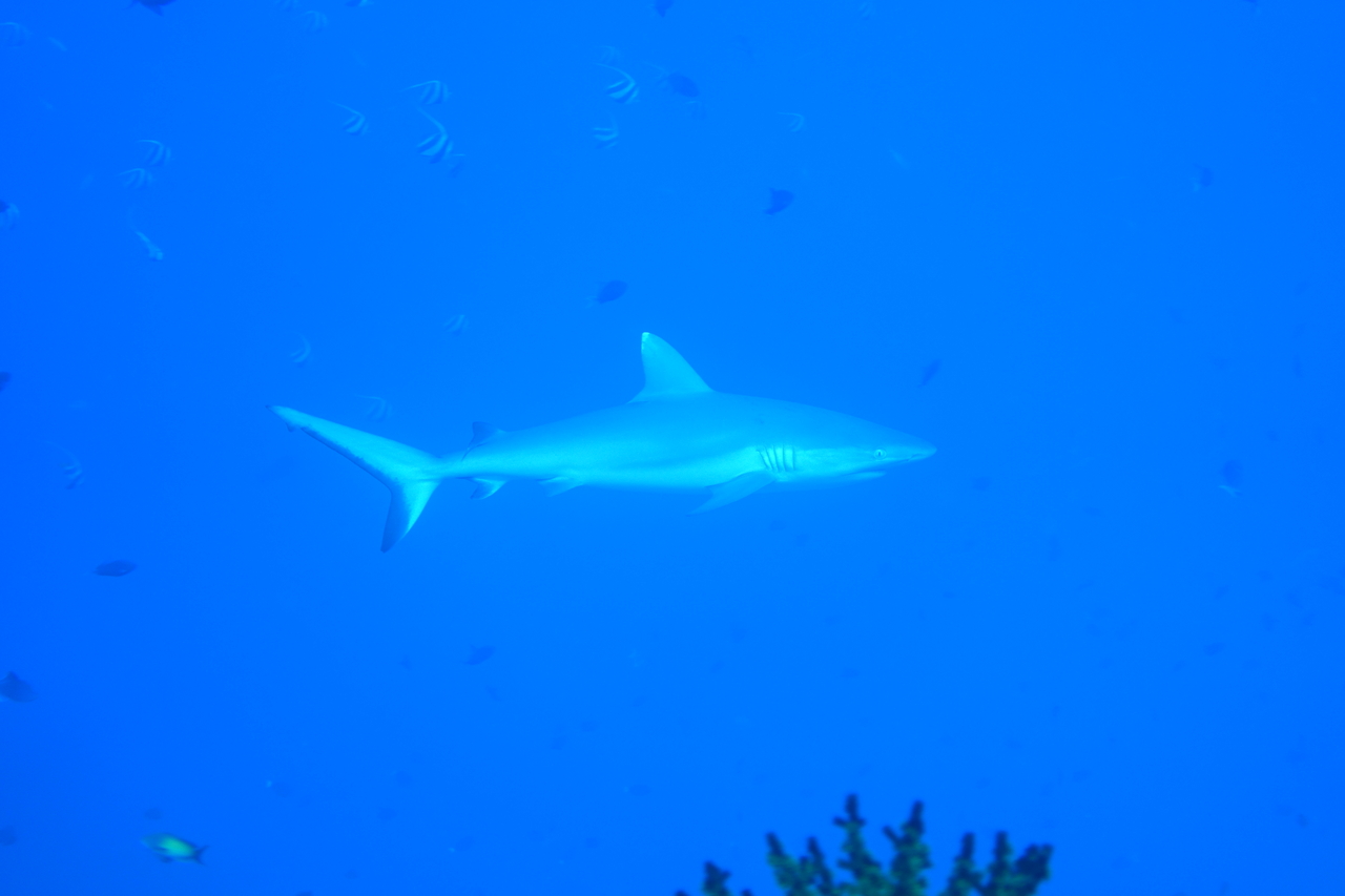 DSC00951.JPG