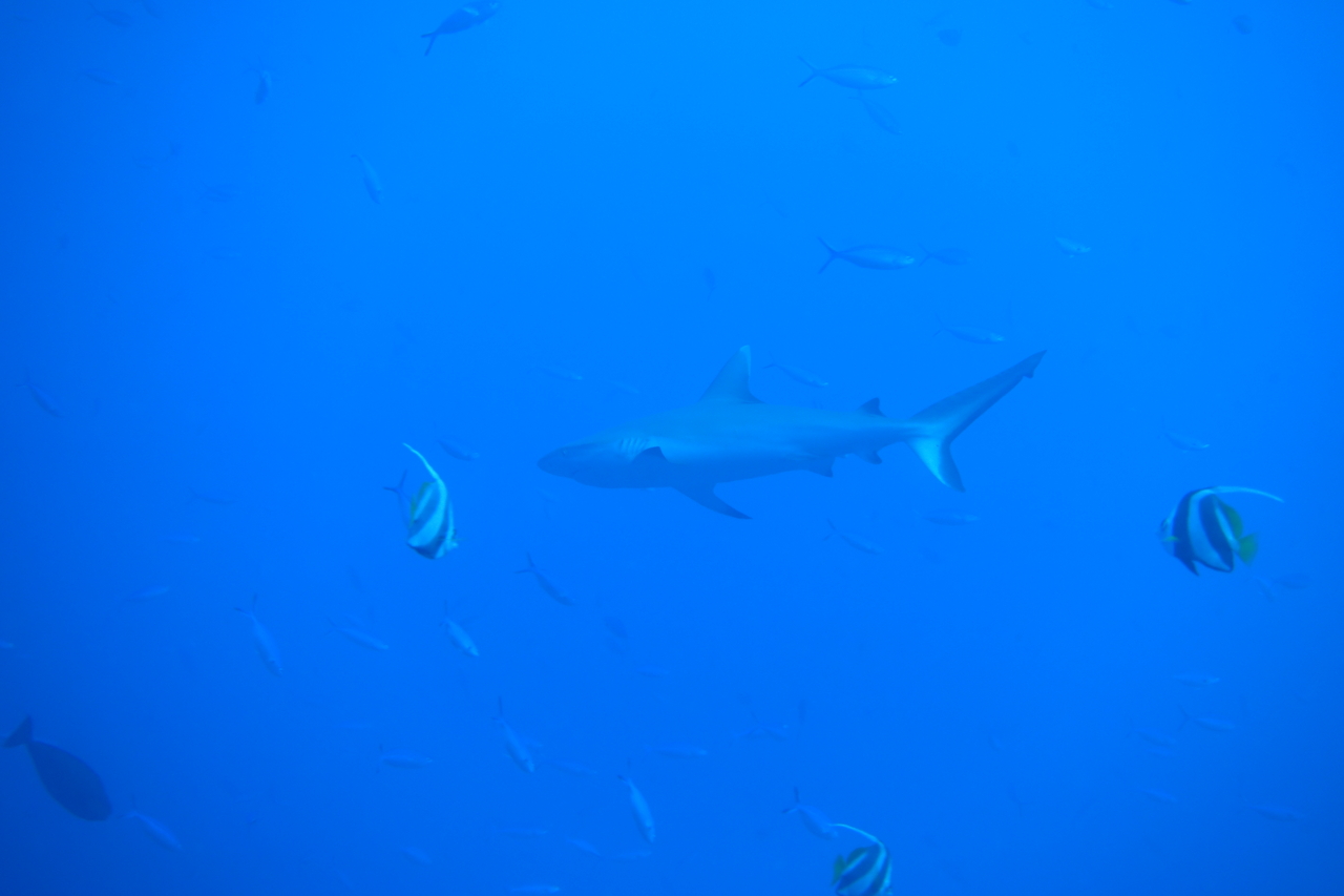 DSC00971.JPG