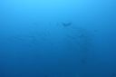 DSC00050.JPG