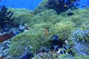 DSC00092.JPG