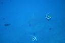 DSC00116.JPG