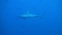 DSC00118.JPG