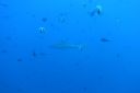 DSC00120.JPG