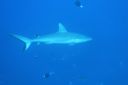 DSC00154.JPG