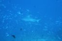 DSC00159.JPG