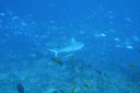 DSC00164.JPG
