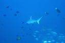 DSC00165.JPG