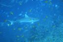 DSC00166.JPG
