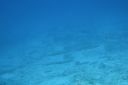 DSC00174.JPG