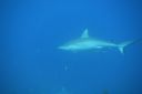 DSC00175.JPG