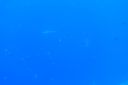 DSC00210.JPG