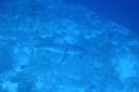 DSC00211.JPG
