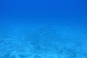 DSC00219.JPG