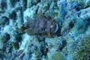 DSC00220.JPG
