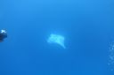 DSC00248.JPG