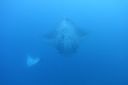 DSC00253.JPG