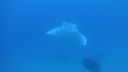 DSC00325.JPG