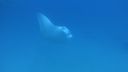 DSC00327.JPG