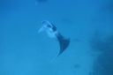 DSC00401.JPG