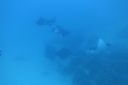DSC00406.JPG
