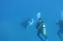 DSC00567.JPG