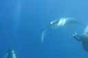 DSC00570.JPG