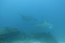 DSC00640.JPG