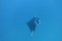 DSC00737.JPG