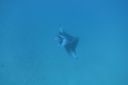 DSC00739.JPG