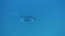DSC00746.JPG