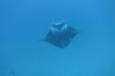 DSC00750.JPG