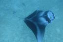 DSC00770.JPG