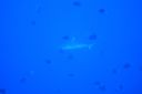DSC00837.JPG