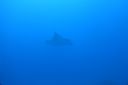 DSC00839.JPG
