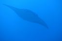 DSC00840.JPG