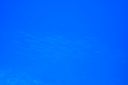 DSC00842.JPG