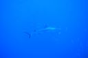 DSC00843.JPG