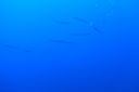 DSC00844.JPG