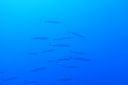 DSC00845.JPG