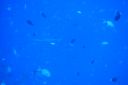 DSC00851.JPG