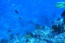 DSC00857.JPG