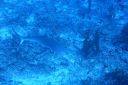 DSC00861.JPG