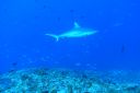DSC00890.JPG