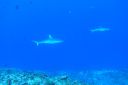 DSC00892.JPG